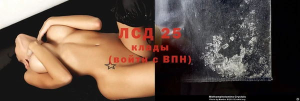 твердый Новодвинск