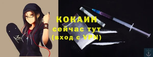твердый Новодвинск