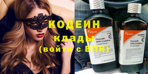 твердый Новодвинск