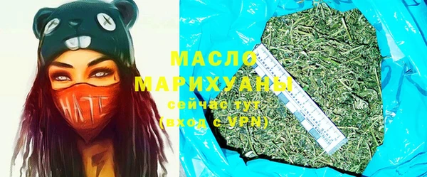 твердый Новодвинск