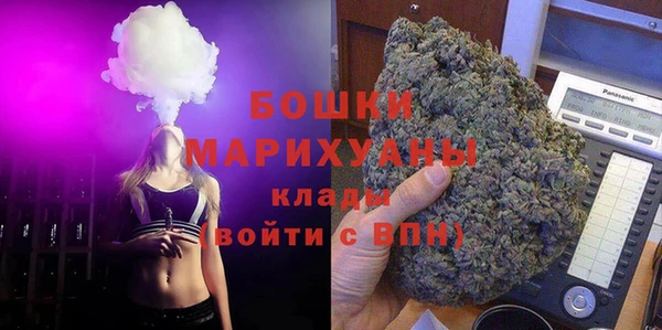 твердый Новодвинск