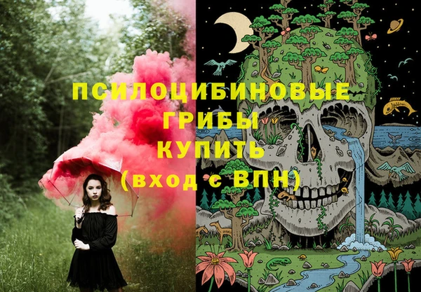 твердый Новодвинск