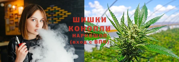 твердый Новодвинск