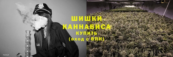 твердый Новодвинск