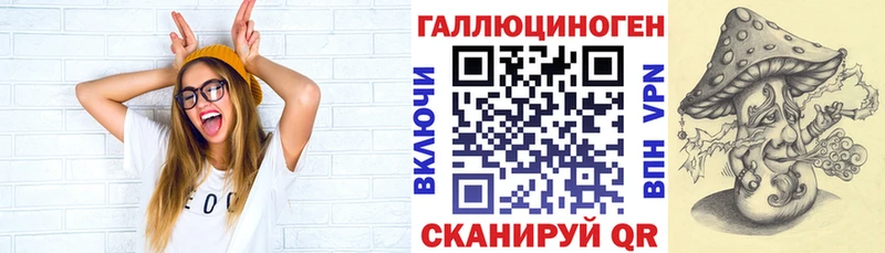 Галлюциногенные грибы Psilocybine cubensis  Томмот 